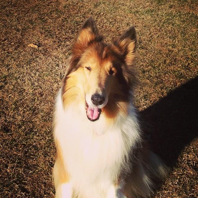 1526188_10202996472379913_608810183_n