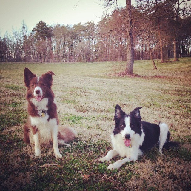 11067940_10206308838747002_5918878728495380932_n