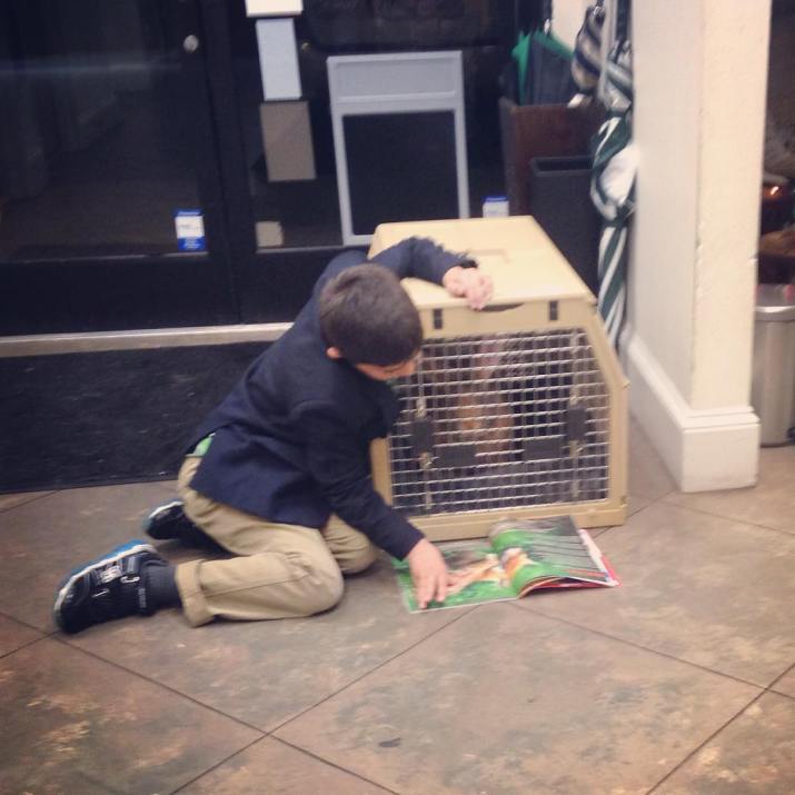 12362715_10208345929472997_749682822182062975_o